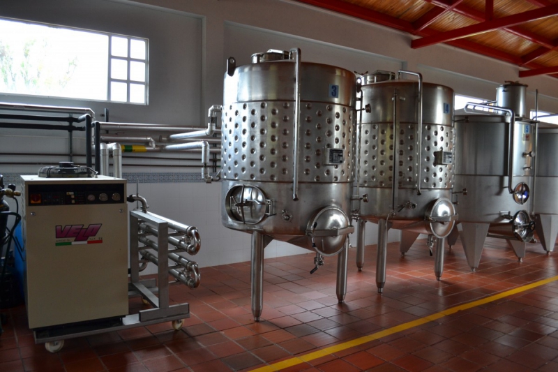 cave-BLAUSASC-min_wine_production_cantine_winery_drink_alcohol_vine_beverage-902036